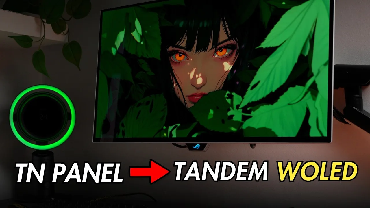 Wasabi video review thumbnail