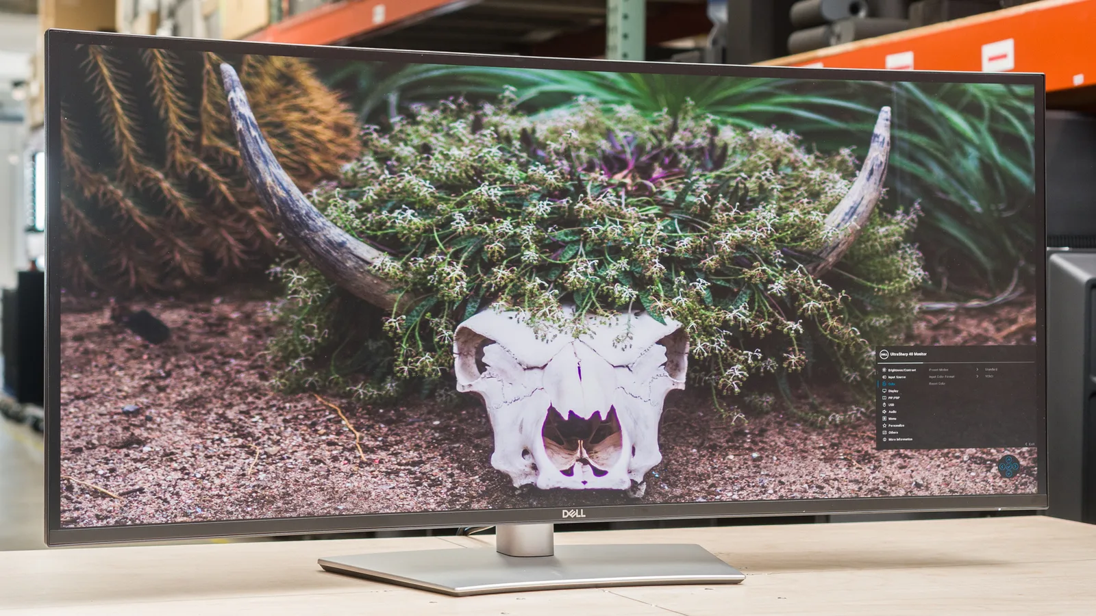 Dell UltraSharp U4025QW photo 2